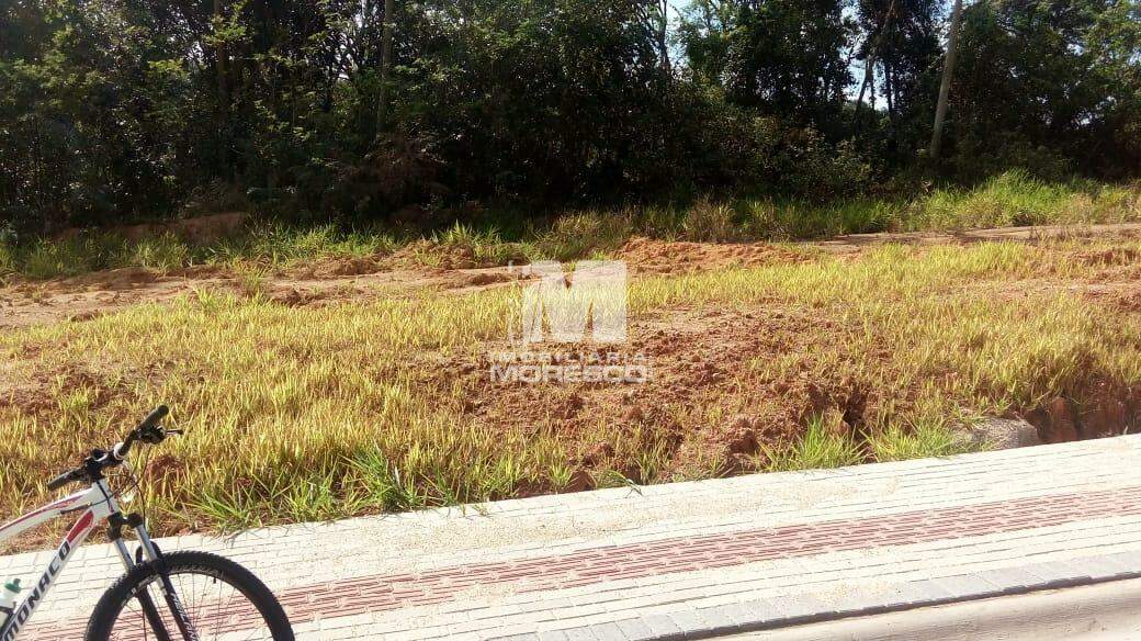 Terreno à venda no bairro Aymoré: 